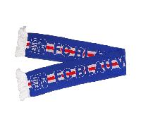 FC Blau-Weiß Linz Strickschal - blau / ONE SIZE