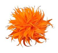 Feder Blumen Brosche Feder Corsage Broschen for Frauen elegante Blume Revers Pins Hochzeit Party Abzeichen Schmuck Zubehör Für Frauen Und Mädchen(Orange)