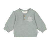 Feetje Baby Jungen - Sweater - Turtelly Cool, seegrün, 74