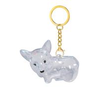 Fenayuu Tierhaar Schlüsselanhänger | Katzen Haare Schlüsselanhänger,Durchsichtiges Emotionales Erinnerungsstück Schmuck Aufbewahrung | Für Frauen Männer Rucksack Auto