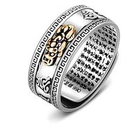 Feng Shui PiXiu Mantra Ring,Kucheed Silberne Buddhistische Glücks Fingerringe,MANI Amulett Mantra Schmuck,Doppelter Schutz Reichtum Liebe Gesundheit Band,Jahrgang Verstellbare Ringe Geschenk (I)