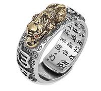 Feng Shui PiXiu Mantra Ring,Kucheed Silberne Buddhistische Glücks Fingerringe,MANI Amulett Mantra Schmuck,Doppelter Schutz Reichtum Liebe Gesundheit Band,Jahrgang Verstellbare Ringe Geschenk (C)