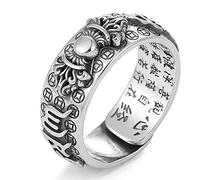 Feng Shui PiXiu Mantra Ring,Kucheed Silberne Buddhistische Glücks Fingerringe,MANI Amulett Mantra Schmuck,Doppelter Schutz Reichtum Liebe Gesundheit Band,Jahrgang Verstellbare Ringe Geschenk (H)