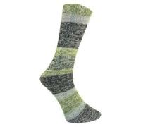 Ferner Wolle Lungauer Sockenwolle 6-fach Merino 764-24