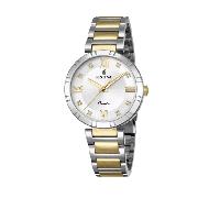 Festina - Festina-Analoguhr-F16937/A gold