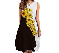 Festliche Kleider für Damen Geschenke für Frauen Kleider Spitzenkleid Brautjungfernkleid für Hochzeit V-Ausschnitt Chiffon Abendkleid Kurzarm A-Linien Kleid meine bestellungen anzeigen Kurz Läss