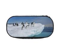 FEYUNYAN Federmäppchen mit großem Fassungsvermögen, ästhetisch, auslaufsicher, aus Segeltuch, mit Reißverschluss, Pinguin-Federmäppchen für Damen und Herren, leichtes tragbares