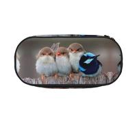 FEYUNYAN Federmäppchen mit großem Fassungsvermögen, ästhetisch, auslaufsicher, Segeltuch, Federmäppchen mit Reißverschluss, vier Vögel, für Damen und Herren, leichtes tragbares