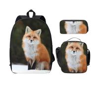 FEYUNYAN Schulrucksack Mädchen Jungen, Lustiger Fuchs Druck Schultasche 3er Set 15 Zoll Laptop Rucksack Isolierte Lunchtasche Federmäppchen Mittelschultasche für Teen Jugend Studenten, Lustiger Fuchs