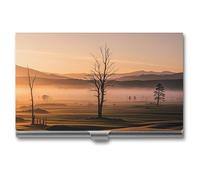 FHESDCW Misty Sunrise Visitenkartenetui für Damen und Herren, professionelles Kartenetui mit Schnallenverschluss, kompaktes und tragbares Metalletui für Büroangestellte, Stil, Einheitsgröße, klassisch