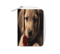 FHESDCW Niedliches Kartenetui für Haustiere, Hund, Leder, Kreditkartenhalter, Reißverschluss, Geldbörse mit 20 Kartenfächern, schlanke Brieftasche, EC-Kartenschutz, Organizer, Stil, 16 x 11,5 cm,