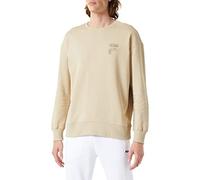FILA Herren BABEN Oversized Crew Sweatshirt, Fields of Rye, M