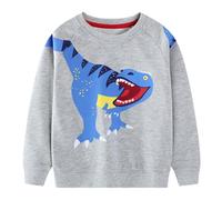 FILOWA Sweatshirt für Kinder Baumwoll Langarm Pullover Dinosaurier Muster Sweater Tier Drucken Jumper Grau Outdoor Warmes Langarmshirt Frühling Herbst Winter Top 4-5 Jahre, Gr.104-110