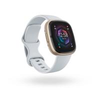 Fitbit Sense 2 Fitness-Smartwatch Nebelblau/Softgold
