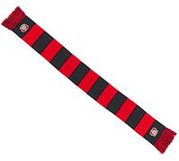 Flaggenfritze Schal Bayer 04 Leverkusen - 17 x 150 cm, + gratis Aufkleber