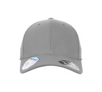 Flex Cap FLEXFIT "Flexfit Accessoires 110 Flexfit Pro-Formance", Herren, Gr. onesize, grau, 63% Polyester, 34% Baumwolle, 3% Elasthan, unifarben, Caps Flex Cap (71978606-0)