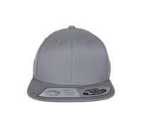 Flexfit 110 Fitted Snapback grey