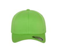 Flexfit Unisex-Erwachsene Wooly Combed 6277 Mütze, Grün (Fresh Green), L/XL