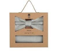 Prince Bowtie Fliegen-Set – Micro Mint Fliege & Einstecktuch – gemustert – Einheitsgröße