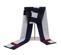 FLOBBS Herren Winterschal, Elegant Classic Plaid Schal, Warmer Weiche Winterschal, Komfortabel Casual Business-Lange, 180x30cm