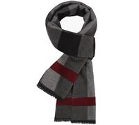 FLOBBS Herren Winterschal, Elegant Classic Plaid Schal, Warmer Weiche Winterschal, Komfortabel Casual Business-Lange, 180x30cm