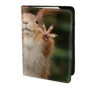 FLYIFE Reisepasshülle mit Eichhörnchen-Motiv, 14 cm, Leder, Reisepasshülle für Damen und Herren, Schwarz , Einheitsgröße