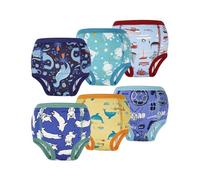 FLYISH DIRECT Baby Töpfchen Trainingshose, Kinder Töpfchentraining Unterwäsche für Jungen und Mädchen, Kleinkind Töpfchen-Trainingshosen, 140/7T