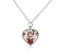 FodPand Halskette mit Aufschrift "Cat in A Christmas Stocking Pet Memorial Necklace for Ashes", wasserdicht, Einäscherungsschmuck für Männer und Frauen, verstellbarer Haustierurnen-Anhänger mit