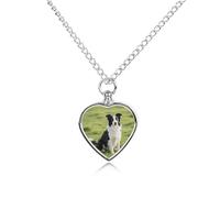 FodPand Halskette mit Urnenanhänger für Asche, mit Füllset, verstellbare 70,1 cm lange Kette, Beerdigung, Schmuck, Andenken, Herz-Anhänger für geliebte Hunde und Katzen