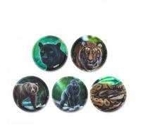 Klettie Set-mehrfarbig