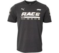 Formel 1 Puma T-Shirt "75 Years" mit Rückenprint in grau L
