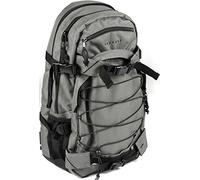 FORVERT Backpack Laptop Louis, Grey, 51 x 29.5 x 15 cm, 26.5 Liter, 880192 by Forvert