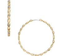 Fossil Creolen SUTTON JF04817710