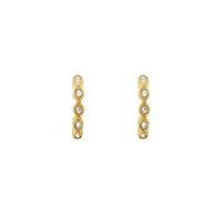 Fossil Damen Goldfarbener Edelstahl mit Ringverschluss Ohrringe