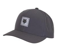 Fox Boxed Future Snapback Cap (one Size, Pewter)