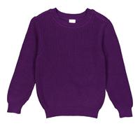 Fred`s World Strickpullover s purple 110