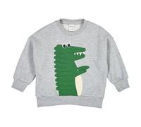 Fred´s World Sweatshirt Pale greymarl 134