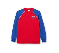Fred's World by Green Cotton Racing Raglan Sweatshirt