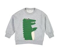 Fred's World Sweatshirt Pale greymarl, 134