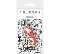 FRIENDS RK38950C Schlüsselanhänger, Gummi, Mehrfarbig