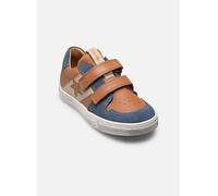 Froddo - Dolby - braun - Sneaker - Größe 33