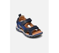 Froddo - Sandalen Karlo 3V - Blau - Größe 29