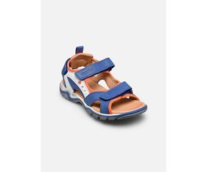 Froddo - Sandalen Karlo 3V - Blau - Größe 34