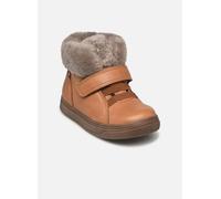 Froddo - Stiefeletten & Boots Basco tex - braun - Größe 28