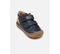 Froddo - Stiefeletten & Boots Ollie star - blau - Größe 19