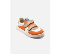 Froddo - ZERU SPRING BAREFOOT - mehrfarbig - Sneaker - Größe 24