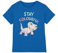 Frozen Stay Colourful with Fire Spirit, Bruni Unisex Kids T Shirt, Royal, 12-13 Years