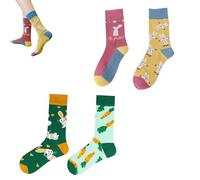 Frühlingsfestsocken,Lustige Socken,Bunte Happy Socks - 2 paar Bunte Damen- & Herrensocken mit,Frühlingsmotiven,viele lustige Designs,perfekt für Paare, Freunde und Familie