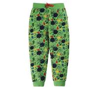 Frugi Jogginghose Spider in grün 3-4 Jahre (Gr. 98 - 104)