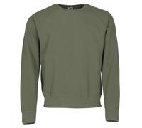 Fruit of the Loom Herren Klassischer Raglan-Sweatshirt Pullover, Grün (Classic Olive 59), XX-Large